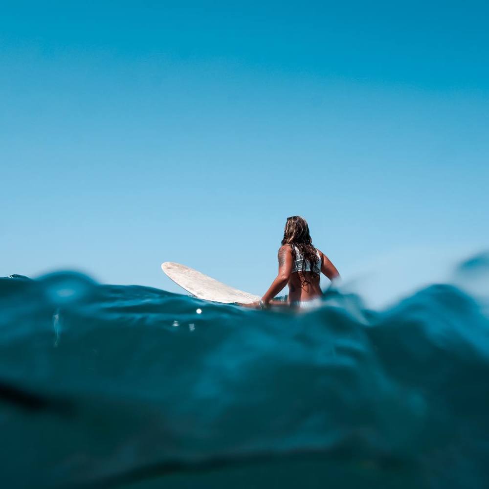 Meet your Posher, Cheyenne